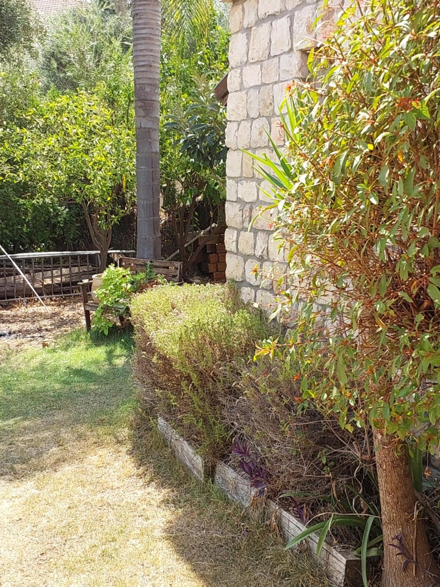 Neve Nof Appartement Rosh Pinna Kamer foto